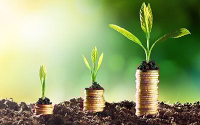 Seo-Vermoegensverwaltung-Marketing